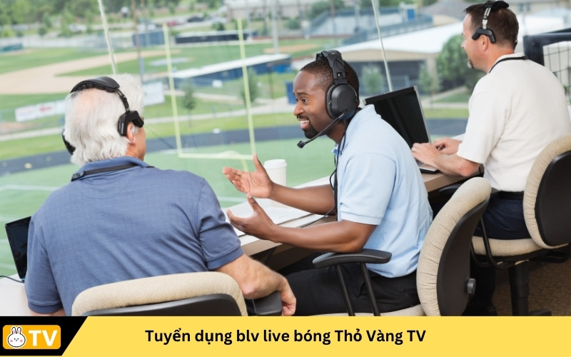 Tuyển dụng blv live bóng Thỏ Vàng TV