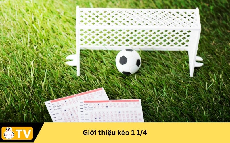 Giới thiệu kèo 1 1/4