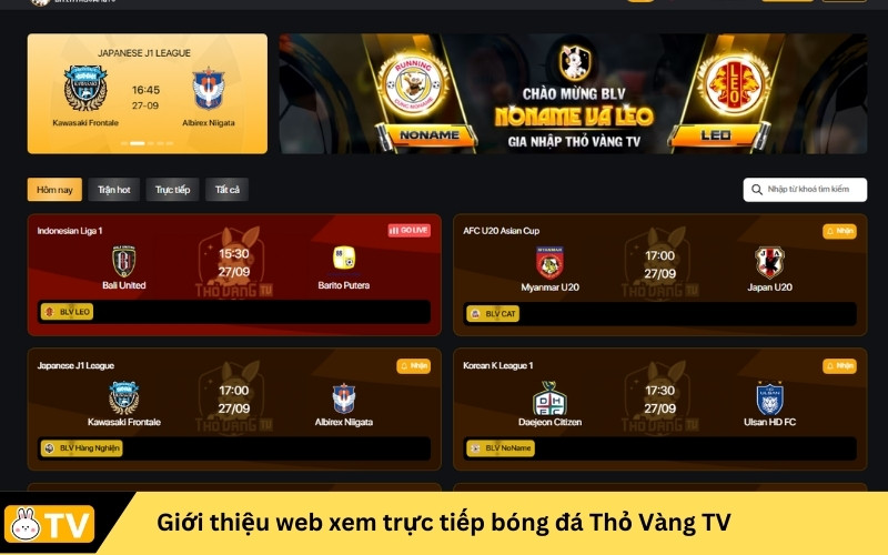 Giới thiệu web xem trực tiếp bóng đá Thỏ Vàng TV