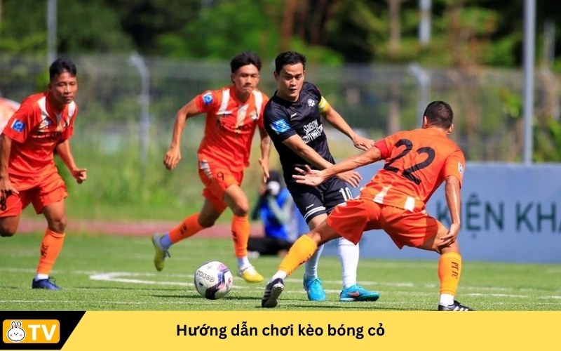 kèo bóng cỏ