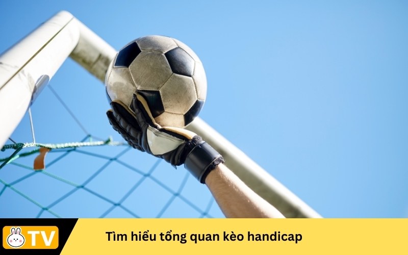 tổng quan kèo handicap