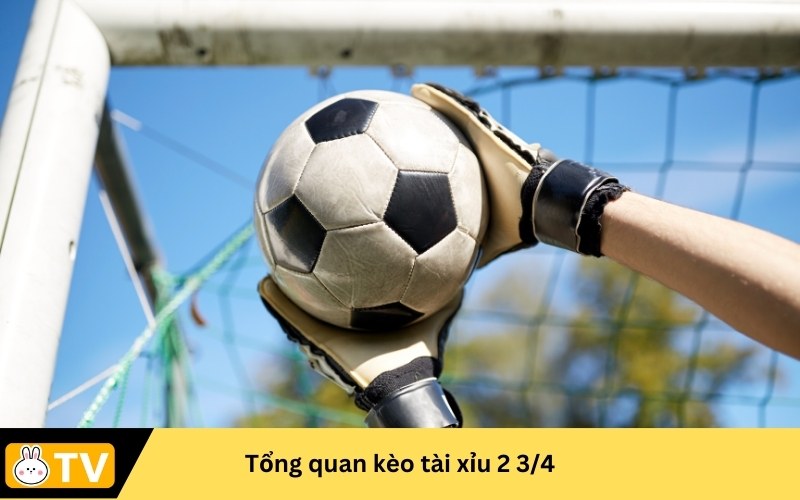 Tổng quan kèo tài xỉu 2 3/4